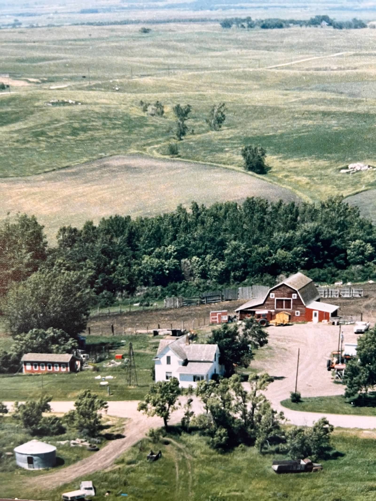 Marcia Erickson grew up on rural farmland in South Dakota. Photo of farmland courtesy of Marcia Erickson.