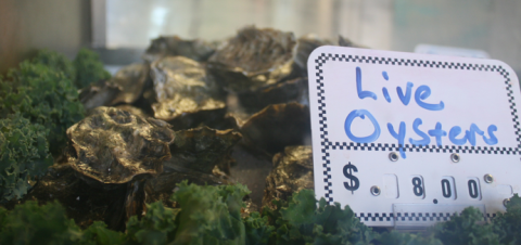BookStory_NWUmpqua-Seafood1