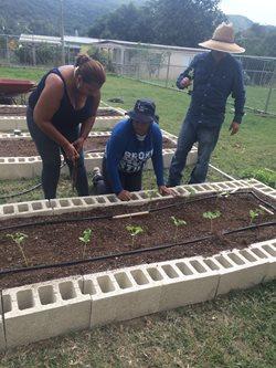 PR_AdultsGardening
